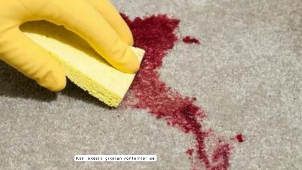 Kan lekesini çıkaran yöntemler ise