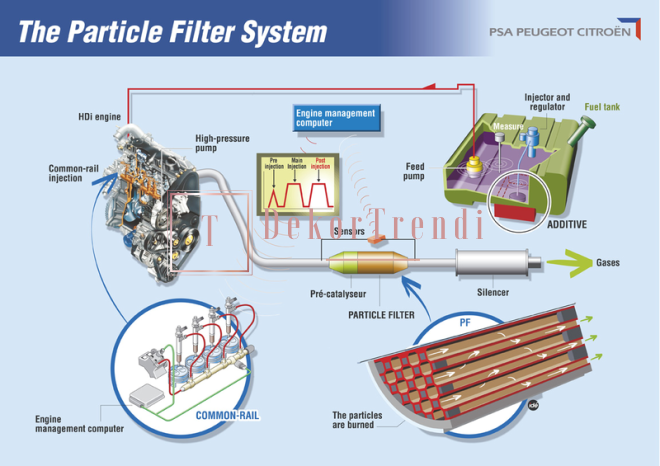 Araçlarda partikül filtresinin düzenli kontrolü hangi aralıklarda yapılmalı?
